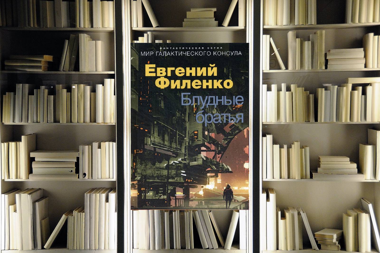 Галактический консул 4. Блудные братья. Евгений Филенко. Обзор книги
