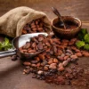 Как появился шоколад?