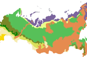 Тундра vs Тайга: Битва за выживание в сибирской глуши