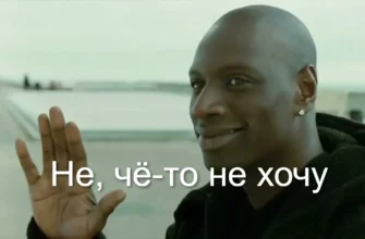 Как я разлюбил шум и полюбил тишину