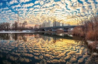 День, когда ночь сдалась