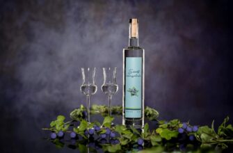 Секрет бутылки с грушей внутри. Гид по венгерской палинке